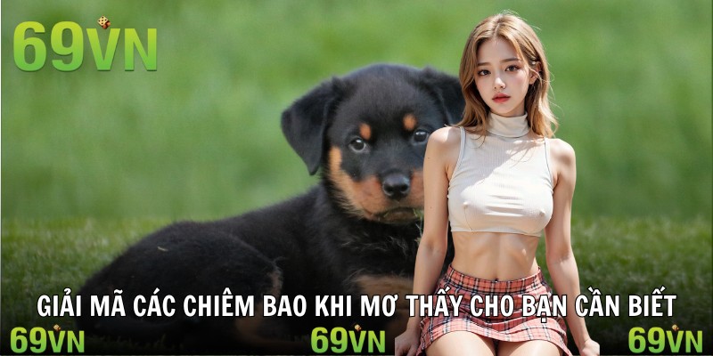 nam mo thay cho chiem bao Giải mã các chiêm bao khi mơ thấy cho bạn cần biết