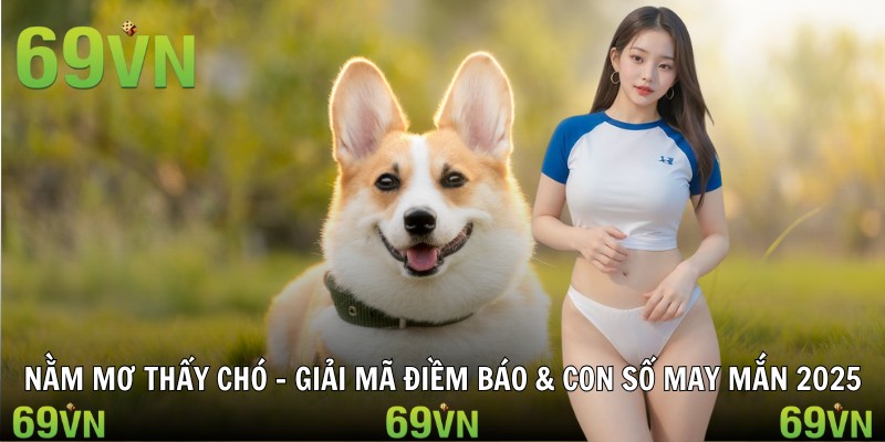 nam mo thay cho nằm mơ thấy chó